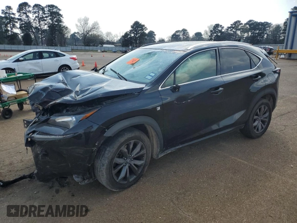 2017 Lexus NX with VIN JTJYARBZ6H2066520, listed as a Copart auction lot 49234295 with 0 mi miles and Salvage Title. Bid and sale history available at carsss.com. Image 1.