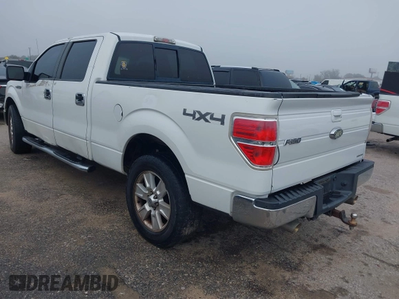 2009 Ford F-150 XL with VIN 1FTPW14V89FB30515, listed as a IAAI auction lot 41210636 with 220,187 mi miles. Bid and sale history available at carsss.com. Image 3.
