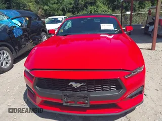 2024 Ford Mustang EcoBoost with VIN 1FAGP8UH2R5130814, listed as a IAAI auction lot 42618860 with 34,042 mi miles and . Bid and sale history available at DreamBid. Image 12.