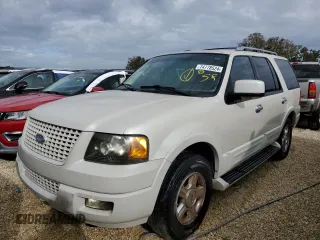 2005 Ford Expedition z VIN 1FMPU19575LA44487, wystawiony jako Copart lot #74778524 z przebiegiem Nie podano mil oraz Szkoda całkowita • Salvage title. Historia ofert i sprzedaży dostępna na DreamBid. Obrazek 1.