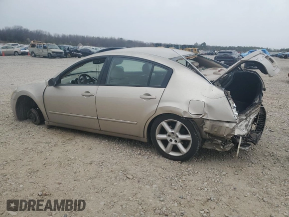 2005 Nissan Maxima 3.5 SE with VIN 1N4BA41E85C841518, listed as a Copart auction lot 48256535 with 226,023 mi miles and Salvage Title. Bid and sale history available at carsss.com. Image 2.