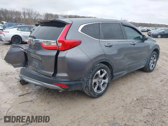 2019 Honda CR-V EX with VIN 2HKRW1H51KH516045, listed as a IAAI auction lot 41834293 with 113,438 mi miles. Bid and sale history available at carsss.com. Image 4.