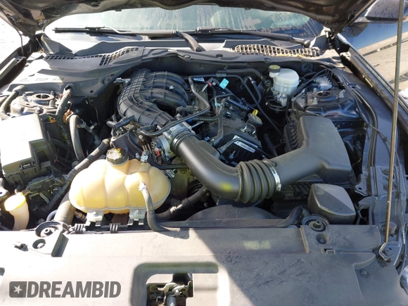 2017 Ford Mustang V6 with VIN 1FA6P8AM3H5240282, listed as a IAAI auction lot 41997965 with 135,070 mi miles and . Bid and sale history available at DreamBid. Image 10.