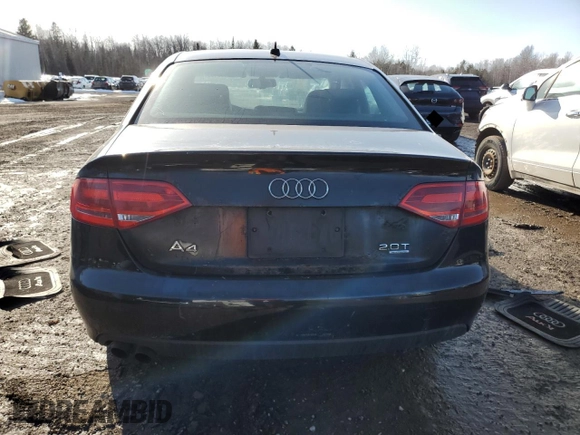 2009 Audi A4 with VIN WAULF68K79N031358, listed as a Copart auction lot 48255455 with Not provided miles and Clean title. Bid and sale history available at DreamBid. Image 6.