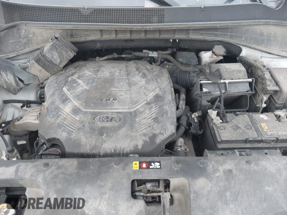 2019 Kia Sorento LX V6 with VIN 5XYPGDA51KG497648, listed as a IAAI auction lot 41070697 with 0 mi miles. Bid and sale history available at carsss.com. Image 10.