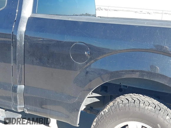 2015 Ford F-150 XL with VIN 1FTEX1CP3FKF01719, listed as a IAAI auction lot 40852480 with 116,291 mi miles. Bid and sale history available at carsss.com. Image 19.