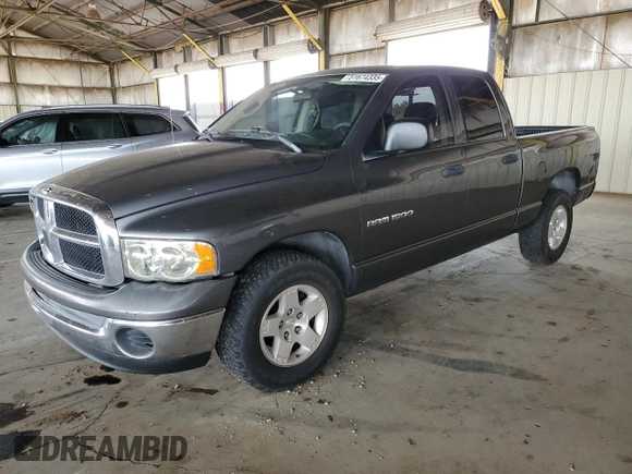 2004 Dodge 1500 SLT with VIN 1D7HA18N64S638484, listed as a Copart auction lot 51674335 with 163,354 mi miles and Salvage Title. Bid and sale history available at carsss.com. Image 1.