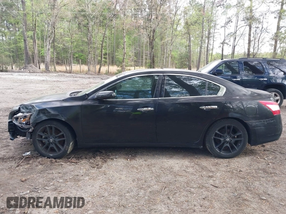 2009 Nissan Maxima SV with VIN 1N4AA51E39C841742, listed as a IAAI auction lot 41964426 with 165,199 mi miles and . Bid and sale history available at DreamBid. Image 14.