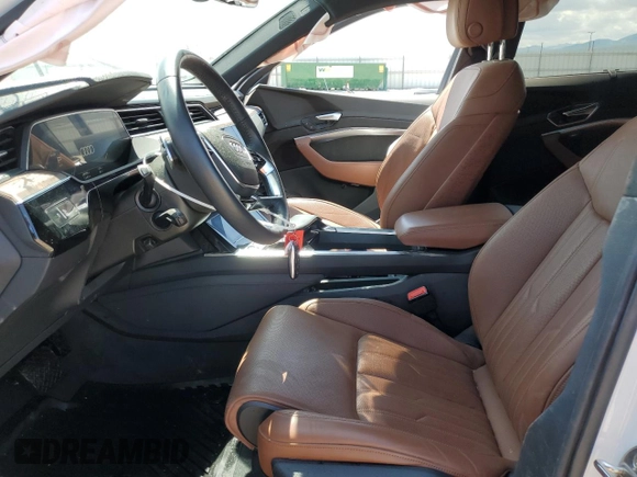 2019 Audi e-tron Prestige with VIN WA1VABGE8KB022801, listed as a Copart auction lot 52213123 with 28,988 mi miles. Bid and sale history available at carsss.com. Image 7.
