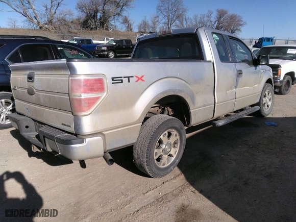 2010 Ford F-150 XL with VIN 1FTEX1CW9AFB06632, listed as a IAAI auction lot 40820314 with 225,343 mi miles. Bid and sale history available at carsss.com. Image 4.