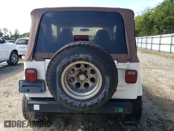 2001 Jeep Wrangler Sahara with VIN 1J4FA59SX1P338887, listed as a Copart auction lot 72835514 with 0 mi miles and Salvage Title. Bid and sale history available at carsss.com. Image 6.