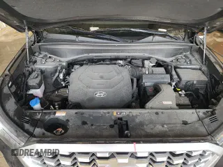 2022 Hyundai Palisade SEL с VIN KM8R4DHE7NU381747, выставлен на аукционе Copart как лот 80746995 с пробегом 41 881 миль миль и Списание • Salvage title. История ставок и продаж доступна на DreamBid. Изображение 17.