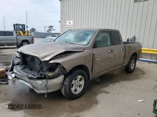 2009 Dodge 1500 SLT with VIN 1D3HB18P59S796449, listed as a Copart auction lot 45138825 with Not Provided miles and Salvage Title. Bid and sale history available at carsss.com. Image 1.