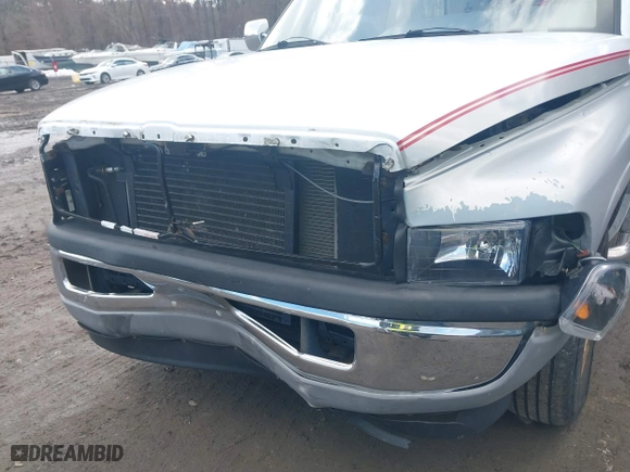 1996 Dodge Ram 1500 with VIN 1B7HC16Y3TJ181980, listed as a IAAI auction lot 41427233 with 126,424 mi miles. Bid and sale history available at carsss.com. Image 6.