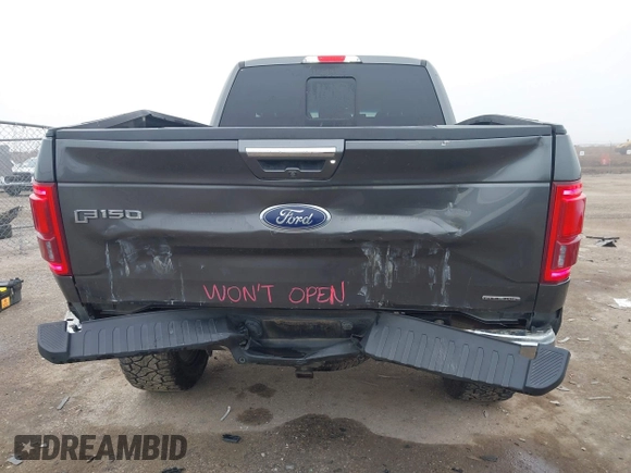 2015 Ford F-150 XLT with VIN 1FTFX1EF1FFB62489, listed as a IAAI auction lot 41503088 with 133,658 mi miles. Bid and sale history available at carsss.com. Image 17.