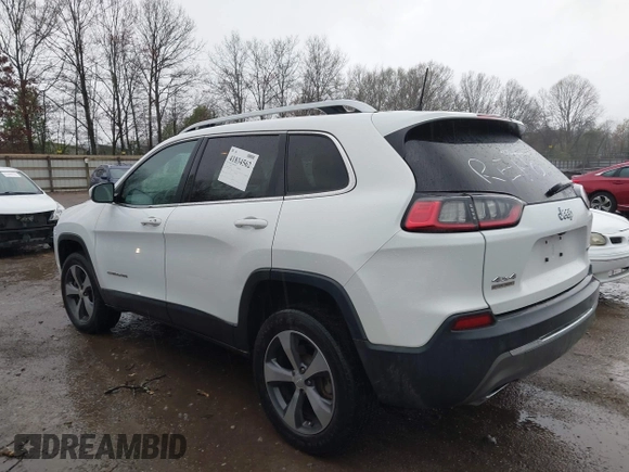 2019 Jeep Cherokee Limited with VIN 1C4PJMDN9KD173231, listed as a IAAI auction lot 41834562 with 133,777 mi miles. Bid and sale history available at carsss.com. Image 3.