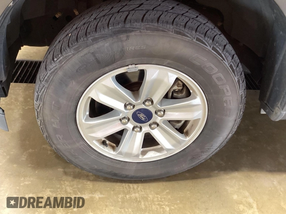 2019 Ford F-150 XL z VIN 1FTEW1CB4KFC20443, wystawiony jako IAAI lot #42806612 z przebiegiem 56 767 mil mil oraz . Historia ofert i sprzedaży dostępna na DreamBid. Obrazek 25.