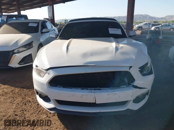 2017 Ford Mustang EcoBoost Premium with VIN 1FATP8UH6H5293673, listed as a IAAI auction lot 42619831 with 96,881 mi miles and . Bid and sale history available at DreamBid. Image 6.