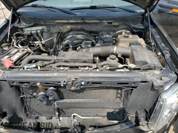 2009 Ford F-150 STX with VIN 1FTRX14849FA73732, listed as a Copart auction lot 59317545 with 162,744 mi miles and Salvage title. Bid and sale history available at DreamBid. Image 11.
