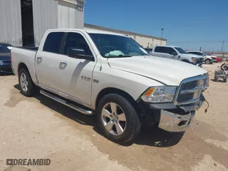 2009 Dodge Ram 1500 Sport with VIN 1D3HB13T19S704306, listed as a IAAI auction lot 41981304 with 290,946 mi miles. Bid and sale history available at carsss.com. Image 1.