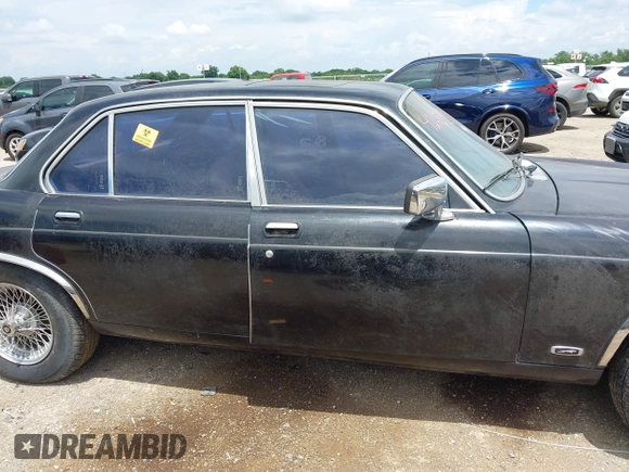 1982 Jaguar XJ with VIN SAJAV1248CC341050, listed as a IAAI auction lot 42653594 with Not provided miles and . Bid and sale history available at DreamBid. Image 13.