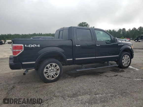 2009 Ford F-150 XL with VIN 1FTPW14V39FA46411, listed as a Copart auction lot 60041665 with 267,792 mi miles and Salvage title. Bid and sale history available at DreamBid. Image 3.