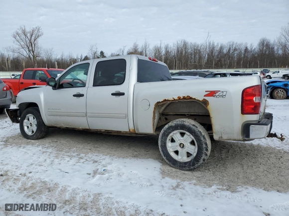 2010 Chevrolet Silverado 1500 LT with VIN 3GCRKSE37AG282019, listed as a Copart auction lot 46922855 with 148,560 mi miles and Salvage Title. Bid and sale history available at carsss.com. Image 2.