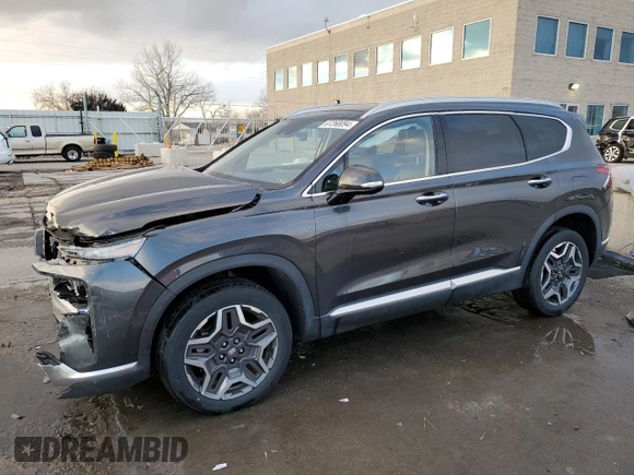 2021 Hyundai Santa Fe Limited with VIN 5NMS4DAL0MH315822, listed as a Copart auction lot 87260094 with 30,253 mi miles and Salvage Title. Bid and sale history available at carsss.com. Image 1.
