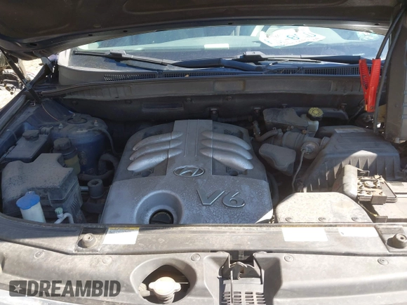 2007 Hyundai Veracruz GLS with VIN KM8NU73C67U012189, listed as a IAAI auction lot 41855531 with 182,341 mi miles and . Bid and sale history available at DreamBid. Image 10.