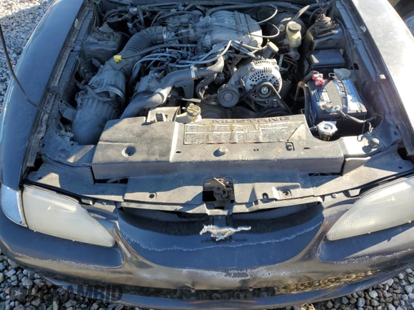 1995 Ford Mustang with VIN 1FALP4448SF190214, listed as a Copart auction lot 88810045 with 215,606 mi miles and Clean title. Bid and sale history available at DreamBid. Image 11.