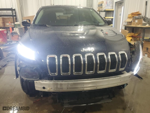 2016 Jeep Cherokee Sport with VIN 1C4PJLAB5GW189961, listed as a Copart auction lot 46069985 with 132,142 mi miles and Clean Title. Bid and sale history available at carsss.com. Image 5.