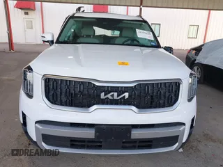 2024 Kia Telluride EX with VIN 5XYP34GC4RG502613, listed as a IAAI auction lot 41299160 with Not Provided miles and . Bid and sale history available at DreamBid. Image 12.
