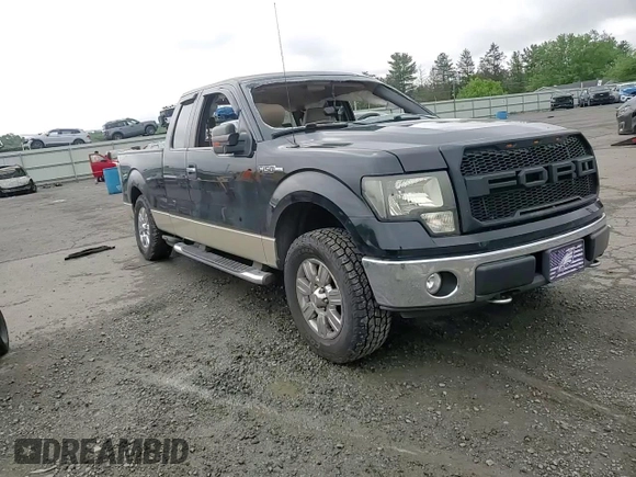 2009 Ford F-150 STX with VIN 1FTRX14819KB81135, listed as a Copart auction lot 61414765 with Not provided miles and Salvage title. Bid and sale history available at DreamBid. Image 13.