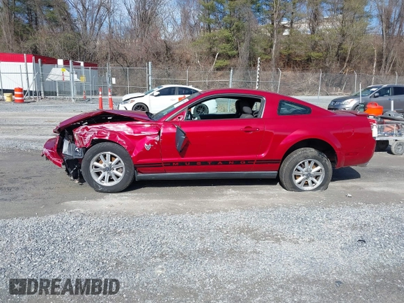 2009 Ford Mustang with VIN 1ZVHT80N695136392, listed as a IAAI auction lot 41509619 with 141,563 mi miles and . Bid and sale history available at carsss.com. Image 14.