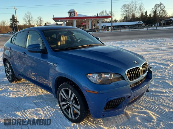 2013 BMW X6 M with VIN 5YMGZ0C57DLL29849, listed as a Copart auction lot 86665844 with 117,000 mi miles and Clean Title. Bid and sale history available at carsss.com. Image 1.