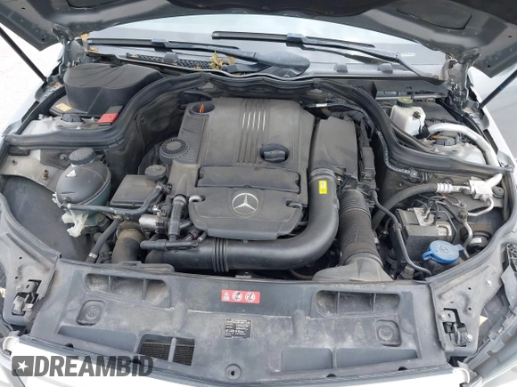 2014 Mercedes-Benz C 250 Sport with VIN WDDGF4HB6EG160494, listed as a IAAI auction lot 42310423 with 145,160 mi miles and . Bid and sale history available at DreamBid. Image 10.
