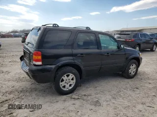 2006 Ford Escape Limited with VIN 1FMCU04196KA18798, listed as a Copart auction lot 50420725 with 113,425 mi miles and Clean title. Bid and sale history available at DreamBid. Image 3.