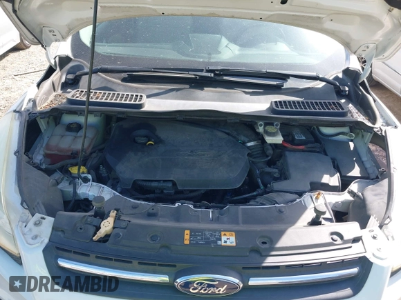 2013 Ford Escape SE with VIN 1FMCU0GX2DUB60296, listed as a IAAI auction lot 41955131 with 144,762 mi miles. Bid and sale history available at carsss.com. Image 10.