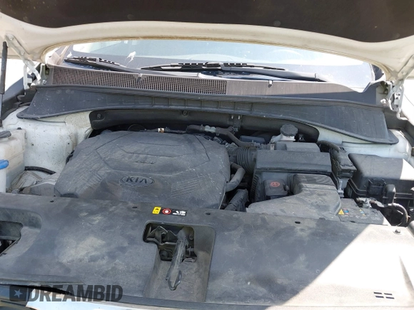 2019 Kia Sorento LX with VIN 5XYPGDA51KG560134, listed as a IAAI auction lot 42567418 with 112,494 mi miles and . Bid and sale history available at DreamBid. Image 10.
