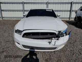 2014 Ford Mustang V6 with VIN 1ZVBP8AM1E5319001, listed as a Copart auction lot 49256535 with 170,655 mi miles and Salvage Title. Bid and sale history available at carsss.com. Image 5.