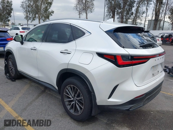 2024 Lexus NX 250 with VIN JTJADCAZ4R2013677, listed as a IAAI auction lot 41548654 with 24,564 mi miles and . Bid and sale history available at DreamBid. Image 3.