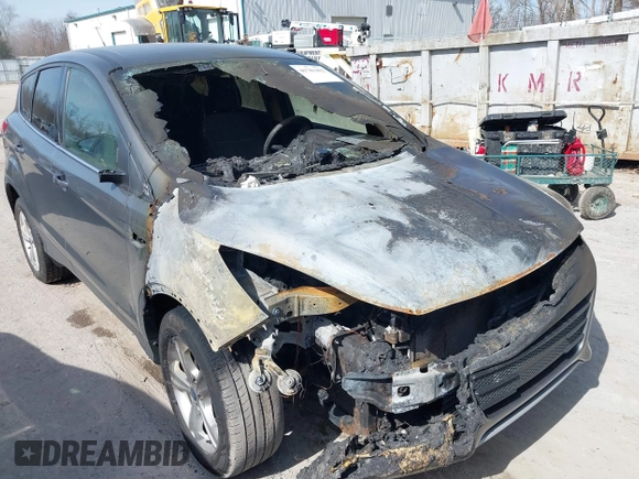 2014 Ford Escape SE with VIN 1FMCU0GX1EUB77611, listed as a IAAI auction lot 41781492 with Not Provided miles. Bid and sale history available at carsss.com. Image 6.