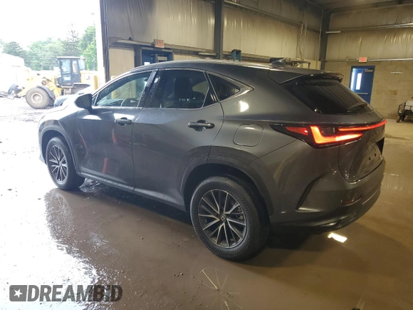 2024 Lexus NX 350 Premium with VIN 2T2GGCEZ7RC051044, listed as a Copart auction lot 59289795 with 9,769 mi miles and Salvage title. Bid and sale history available at DreamBid. Image 2.
