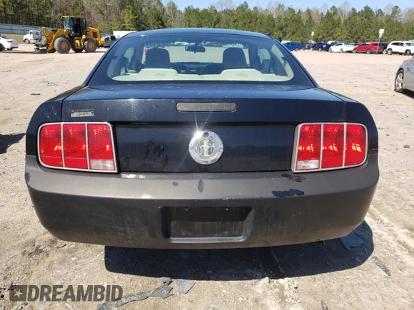 2005 Ford Mustang Deluxe with VIN 1ZVFT80N555244925, listed as a Copart auction lot 49692365 with 0 mi miles and Clean Title. Bid and sale history available at carsss.com. Image 6.