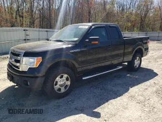2013 Ford F-150 XL with VIN 1FTFX1EF4DFB87061, listed as a Copart auction lot 55293955 with 204,468 mi miles and Clean Title. Bid and sale history available at carsss.com. Image 1.