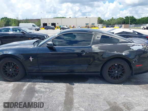 2013 Ford Mustang V6 with VIN 1ZVBP8AM5D5263496, listed as a IAAI auction lot 42580278 with 107,040 mi miles and . Bid and sale history available at DreamBid. Image 14.