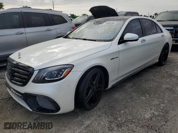 2020 Mercedes-Benz S 65 AMG with VIN W1KUG7KB5LA530117, listed as a Copart auction lot 75060394 with Not provided miles and Salvage title. Bid and sale history available at DreamBid. Image 1.