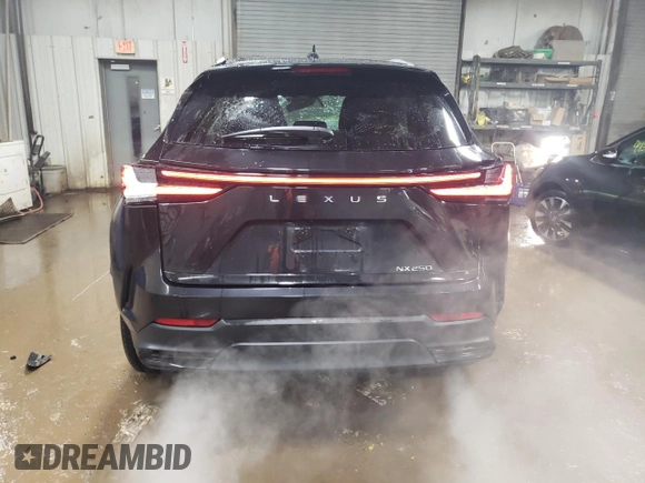 2022 Lexus NX with VIN 2T2ADCAZ4NC002205, listed as a Copart auction lot 44891975 with 19,509 mi miles and Salvage Title. Bid and sale history available at carsss.com. Image 6.