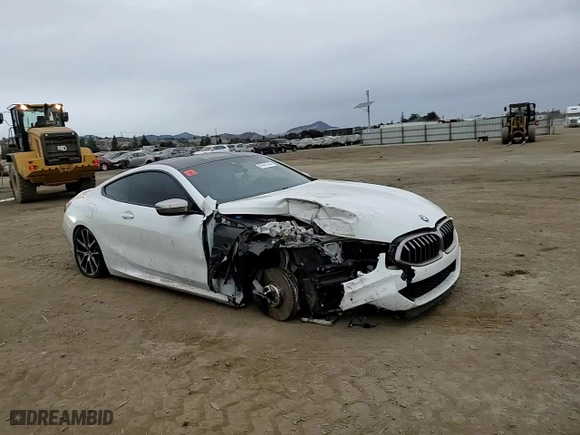 2019 BMW 8 Series M850i xDrive with VIN WBABC4C54KBJ35615, listed as a Copart auction lot 81431744 with 0 mi miles and Salvage Title. Bid and sale history available at carsss.com. Image 10.