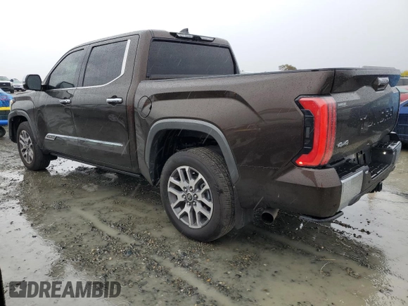 2022 Toyota Tundra 1794 Edition with VIN 5TFMA5DB5NX048356, listed as a Copart auction lot 81753004 with 17,077 mi miles and Salvage title. Bid and sale history available at DreamBid. Image 2.
